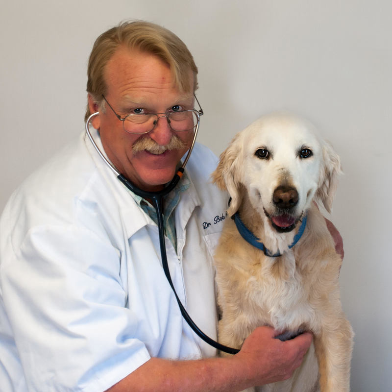 Our Doctors Dillon Small Animal Hospital